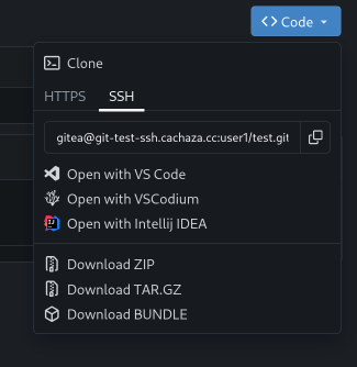 Copying the SSH clone URL from the Gitea repository page